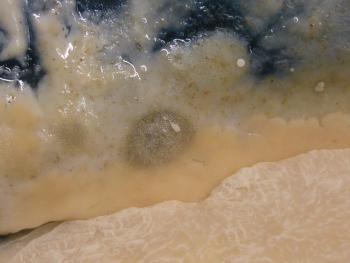 Mysterium Sauerteigbrot 1428675730