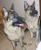Unsere zwei w�hrend des Umbaus