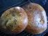 Fladenbrot