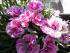 full_p1070501640x480.jpg