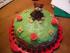 Meine erste Motivtorte zum Geburtstag meiner Mutter