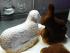 L�mmchen und Hase