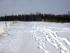 Weites Feld