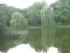 Der Litzenseepark in Berlin. W�re der doch nur n�her!
