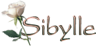 \"\"