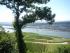 Der Rhein bei R�desheim