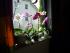 full_p1010726.jpg
