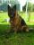 Enschie�07