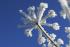 full_141204_lf8q1912.jpg