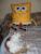 Spongebob mit Justin
