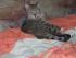 hey, das Bettchen ist richtig gem�tlich!