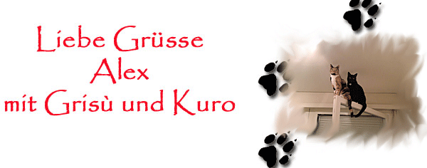 besondere Salate gesucht 2335618236