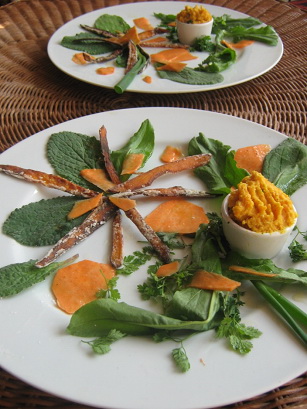 Menuwettbewerb 2011 vegetarischen Menus 3021484388