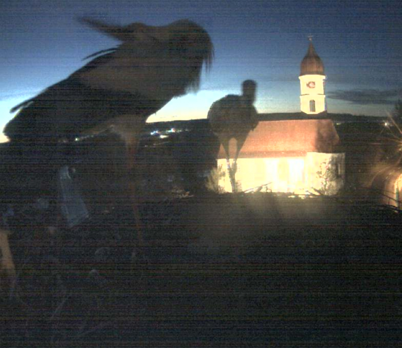 Bild