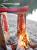 medium_glhlachs.jpg            Loimulohi (Finnischer Gl�hlachs)