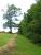 Gem�hte Wiese am Waldrand