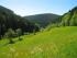 Unser liebliches Zwerchbachtal