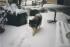 full_snowdog.jpg
