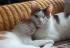 full_kuschelzeit3a23425175.jpg