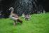 full_dsc_0096.jpg