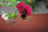 full_dsc_0641.jpg