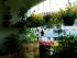 full_bild004.jpg