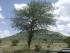 full_imag0020.jpg