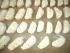 full_Cantuccini, aus den Teigrollen die einmal gebacken geschnitten,werden jetzt noch mal gebacken.