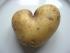 Kartoffel, fast zu sch�n zum essen :-)