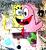 Spongebob Star :D