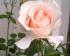 full_dscf0003.jpg