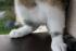 bauch