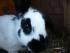  Das ist Wilma