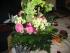 gewonnener Strau�