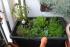 full_dsc_0076.jpg