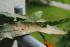 full_dsc_0147.jpg