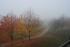 full_dsc_0236.jpg
