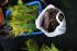 full_dsc_0261.jpg