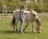 full_m4100070freya30.geb..jpg