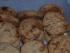 Snickerscookies