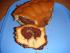 Marmorkuchen nach Frieda
