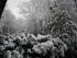 Sch�n, endlich �berall Schnee