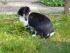 Linchen im Garten (Naomi)