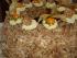 full_dsc01867.jpg Frankfurter Kranz