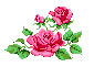 \"\"