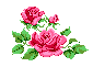 \"\"