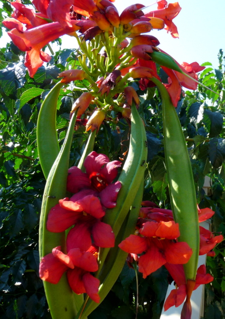 \"\"