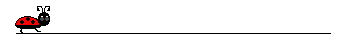 \"\"