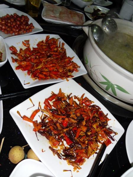 Heuschrecken zubereiten essen 3310642845