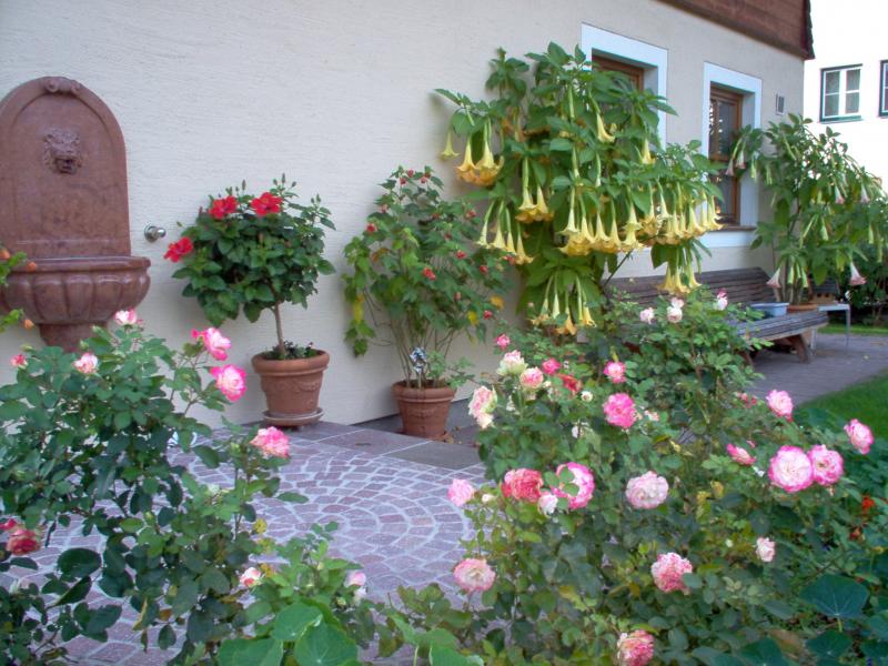 Blumen
